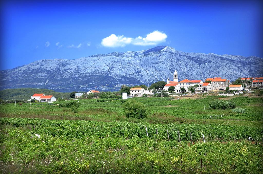 Apartments Vrdoljak Lumbarda Luaran gambar